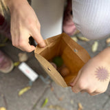 Der Blick von oben in eine geöffnete Kokomoo Wundertüte.