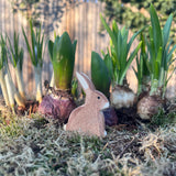 Die Ostheimer Spielfigur "Hase sitzend" sitzt im Moos vor noch nicht aufgeblühten Frühlingsblumen und schaut nach rechts.