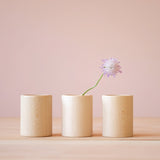 Drei glatte Holzbecher Cups von Grapat, alle stehen, im Becher in der Mitte steckt eine Blume.